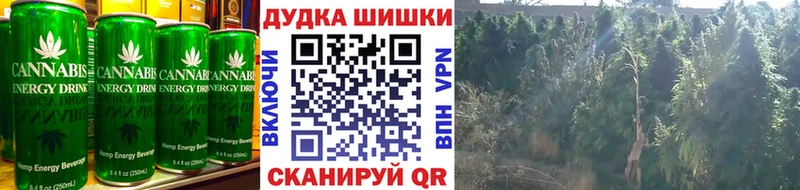 как найти закладки  Гвардейск  omg вход  Еда ТГК конопля 